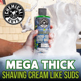 Chemical Guys Honeydew Snow Foam - Premium Auto Wash 16Oz