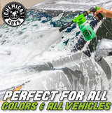 Chemical Guys Foam Blaster 6 Hose Snow Foam Gun